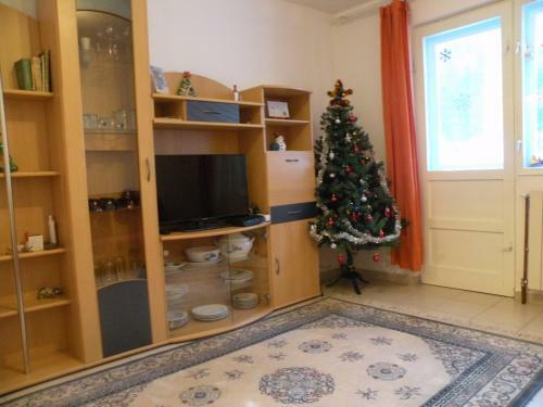 Apartamento Dream Holiday Busteni