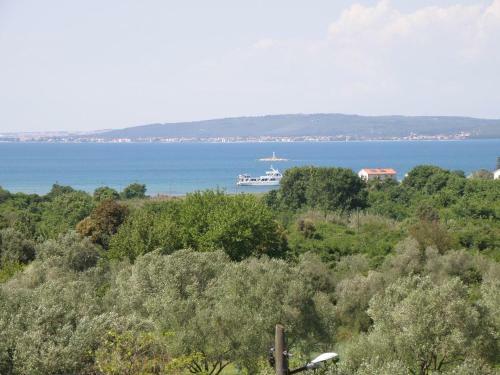 Apartment Pasman 14788b