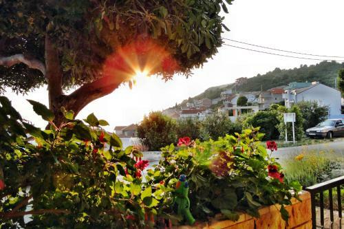 Holiday Home Apartment Tedo
