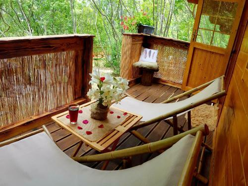Robinson Accommodation Freedom