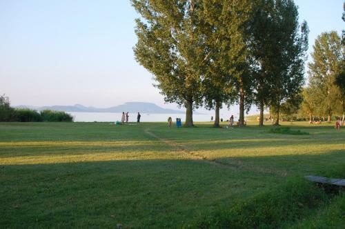 Lake House Farsang