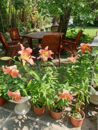 Apartamento Villa Val�ria Balatonf�red