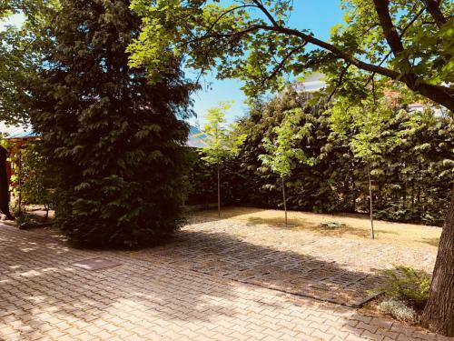 Bed & Breakfast Z�ldtet? Panzi�