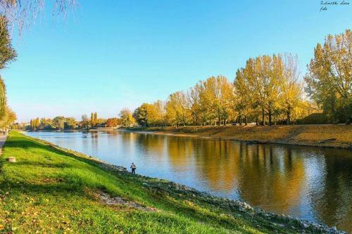 Hostal Sobri Hal�szcs�rda �s Panzi�