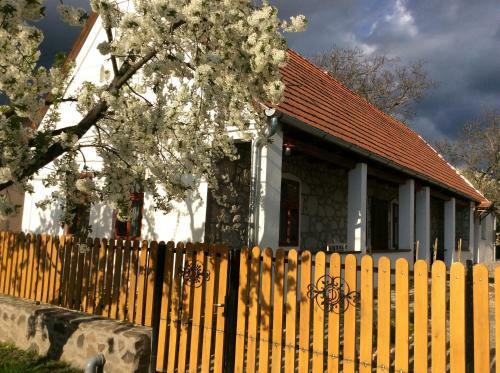 Hostal Vitamin B63 Vend�gh�z