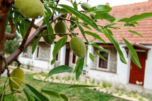 Hostal Vitamin B63 Vend�gh�z