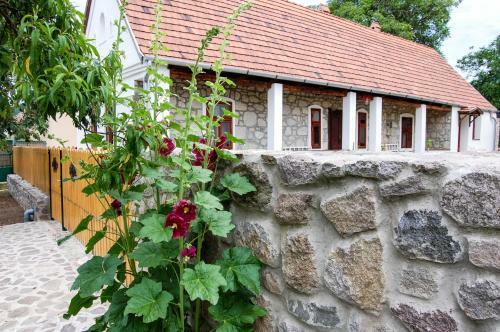 Hostal Vitamin B63 Vend�gh�z