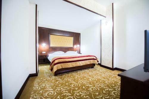Hotel Silva Busteni