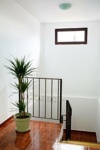Albergue Casa Victoria