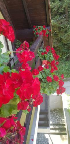 Apartament Kalinderu