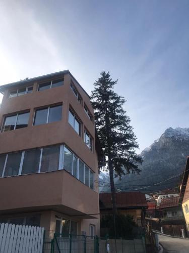 Hostal Vila Danlavi