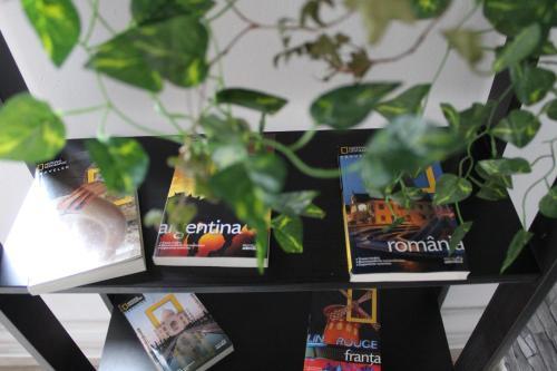 Hostal Vila Danlavi