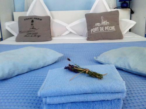 Hostal Casa Babica Guesthouse