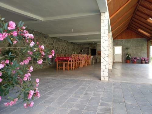 Hostal Pensiunea Tiuta