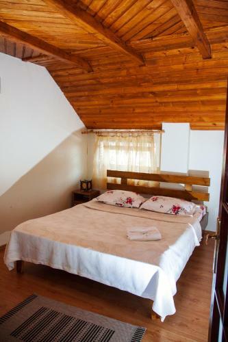 Hostal Rustic Argesean