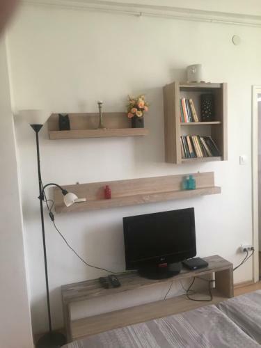 Koren Family Apartment