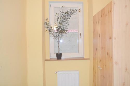 Hostal Riverside Danube Guest House