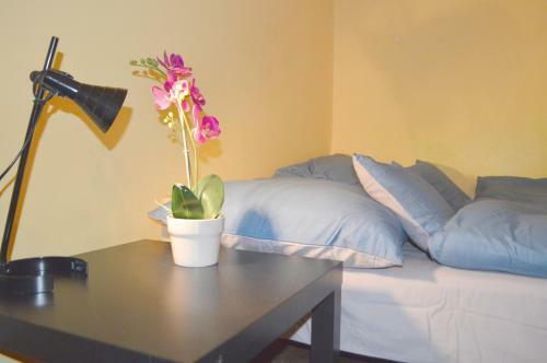 Hostal Riverside Danube Guest House
