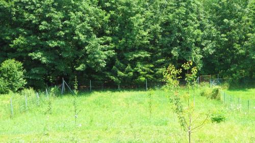 Bed & Breakfast H?forr�s Panzi�