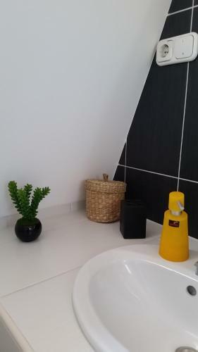 Bogl�rka Apartman