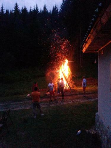 Cabana Pietricica