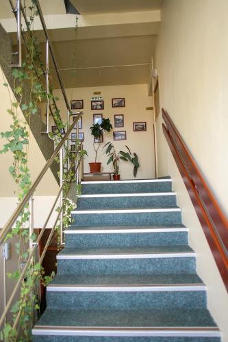 Hotel Silva