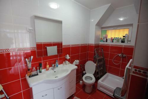 Hostal Pensiunea Lucian