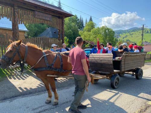 Pensiunea Agroturistica Casa Colini?a
