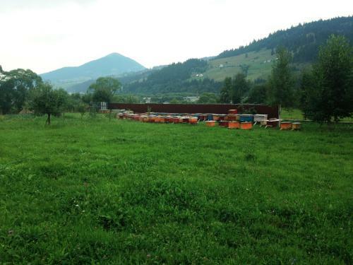 Bed & Breakfast Pensiunea Gentiana