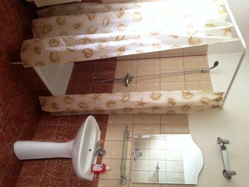 Bed & Breakfast Pensiunea Gentiana