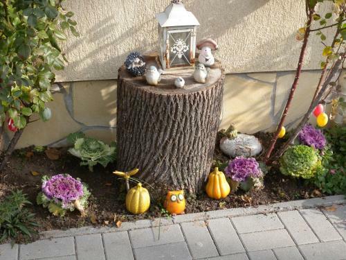 Apartment In Siofok/balaton 31138
