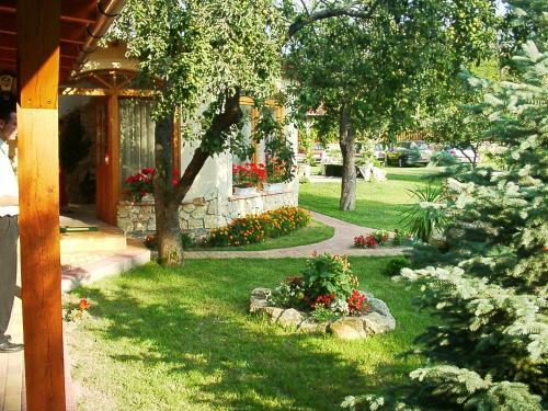 Hostal Aranyb�nya Panzi� �s Apartmanh�z