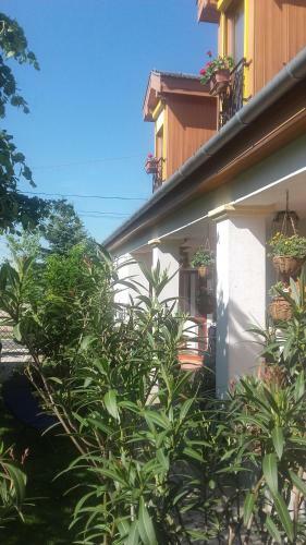 Hostal Rudolf's Fogad�