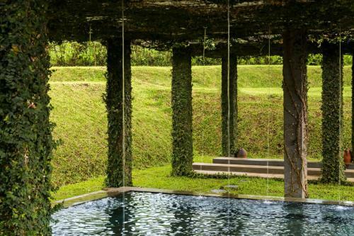 Hotel Tea Garden Resort