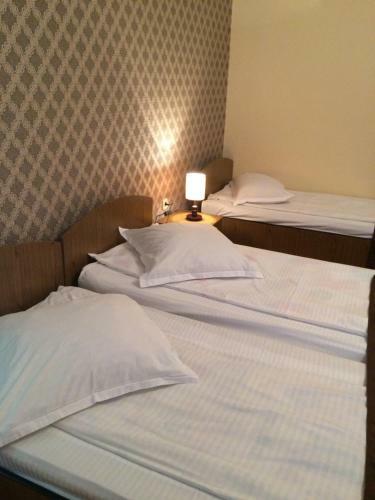 Hostal Pensiunea Diana