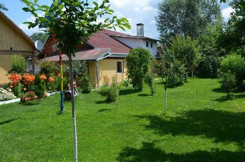 Hostal Pension Dor De Bucovina