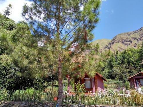 Lodge Sembalun Kita Cottage