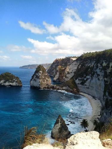 Hostal Bamboo Bungalows