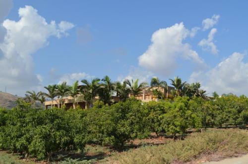 Bed & Breakfast Migdalia Lifestyle Center