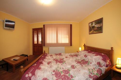 Hostal Pensiunea Elisabeta