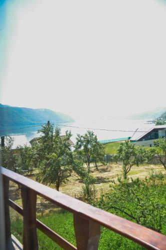 Hostal Alegria