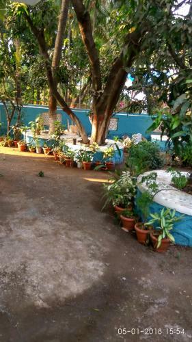 Hostal Raghushilp Guest House