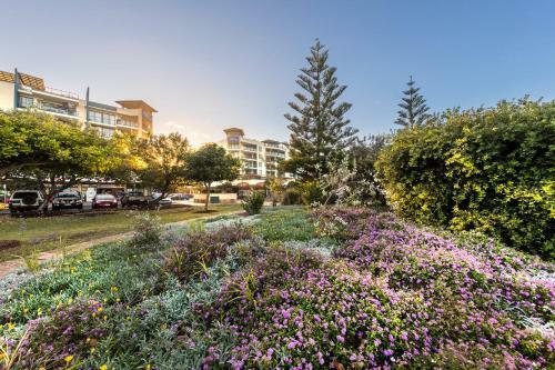 Aparthotel Oaks Seaforth Resort