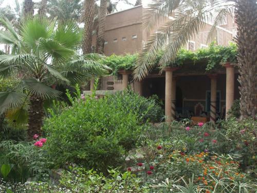 Bed & Breakfast Fibule Du Draa Kasbah D'h�tes