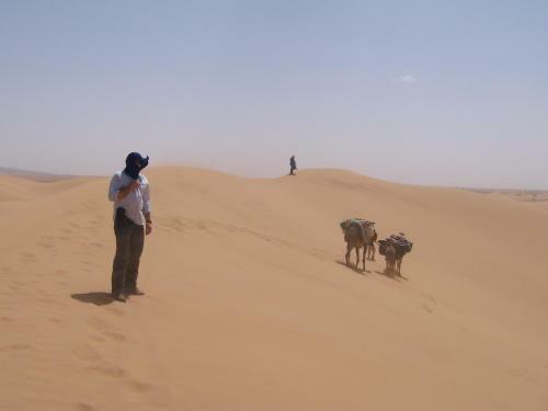 Bed & Breakfast Fibule Du Draa Kasbah D'h�tes