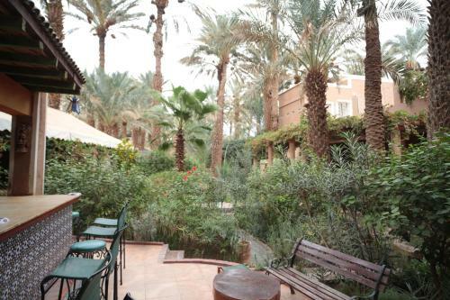 Bed & Breakfast Fibule Du Draa Kasbah D'h�tes