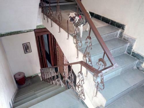 Bed & Breakfast Som Sadan