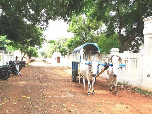 Agroturismo Chettinadu Mansion ? An Authentic Heritage Palace