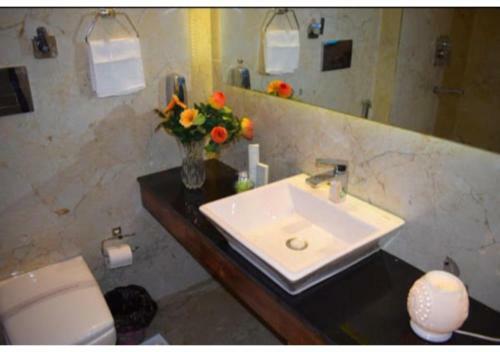 Exotic Kufri Stay With Incredible Views