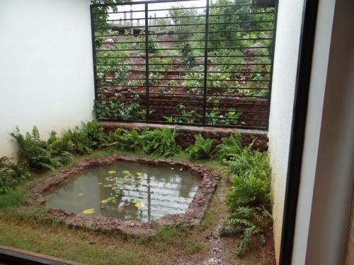 Hotel Forest Escapes Koyna